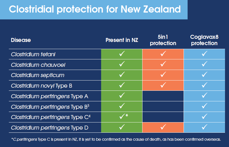 Coglavax8 Clostridial Protection For New Zealand