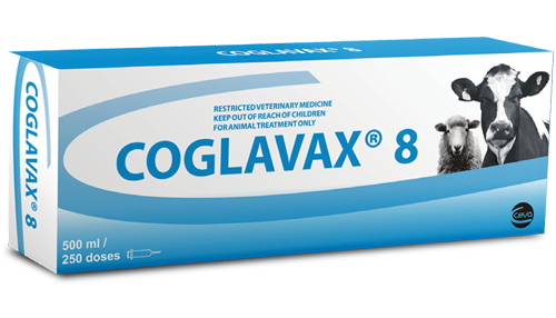 Coglavax 8in1 vaccine Package (250 doses)